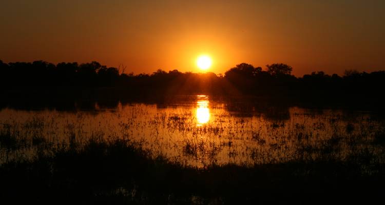 Zonsondergangzicht over een moerassig gebied met spiegelingen in het water.