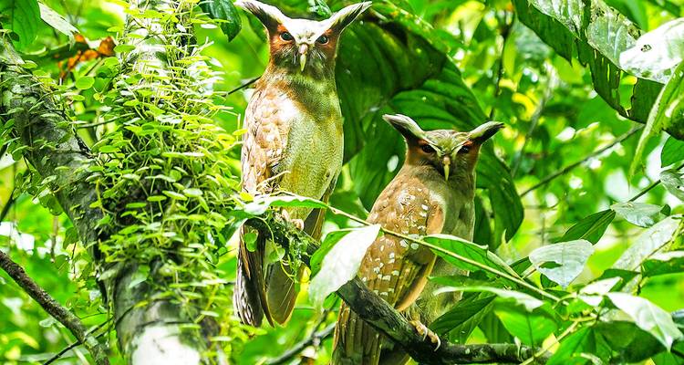 Customized Ecuador Amazon Adventure, Daily Departure - Agate Travel 4