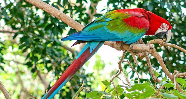 Customized Ecuador Amazon Adventure, Daily Departure - Agate Travel 6