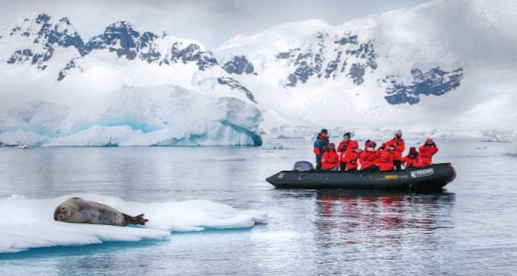 Groupe de personnes sur un bateau observant un phoque sur un iceberg en Antarctique.