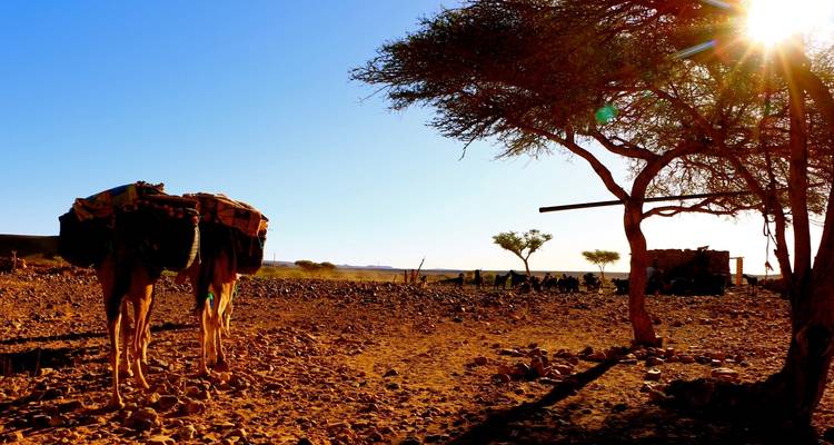 Trekking berbère dans le désert du sud 12 jours - Explore Morocco Travel 9