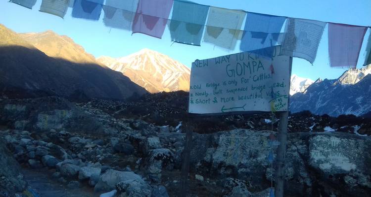 Excursionismo por el valle de Langtang - Hiking Adventure Treks Pvt Ltd  6