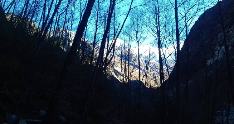 Excursionismo por el valle de Langtang - Hiking Adventure Treks Pvt Ltd  7