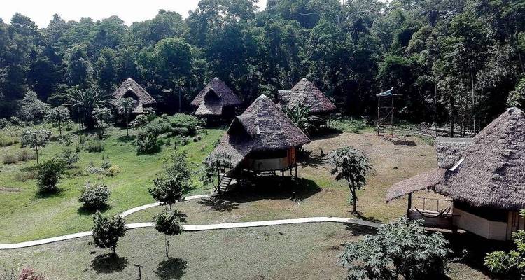 Visite de Tambopata Macaw Clay Lick - 3 jours/2 nuits - Monte Amazonico Lodge  3