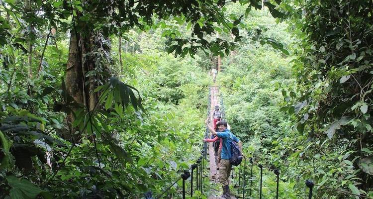Tambopata Macaw Clay Lick & Sandoval Lake 4 jours/3 nuits - Monte Amazonico Lodge  4