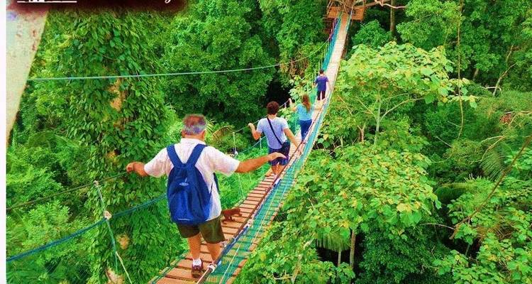 Tambopata Macaw Clay Lick & Sandoval Lake 5 jours/4 nuits - Monte Amazonico Lodge  7