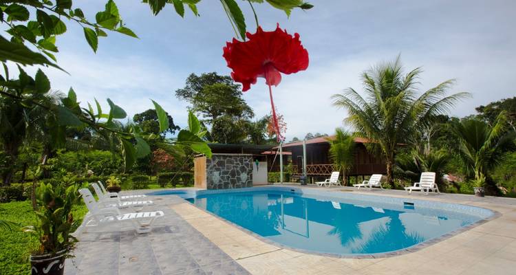Piscine avec transats entourée d'une végétation luxuriante et d'une grande fleur rouge au premier plan.