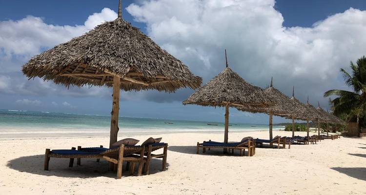 Private Safari of 7 Days in the Northern Parks of Tanzania + Zanzibar Beach Extension of 7 Days - Safari Avventura 3