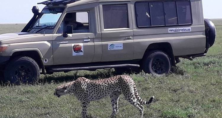 Private Safari of 7 Days in the Northern Parks of Tanzania - Safari Avventura 10