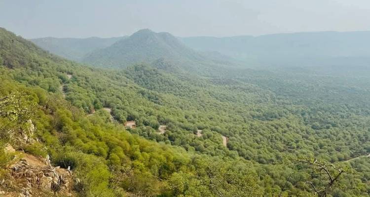 Delhi to Sariska National Park: A Thrilling Wildlife Excursion - Agora Voyages OPC Pvt Ltd 8