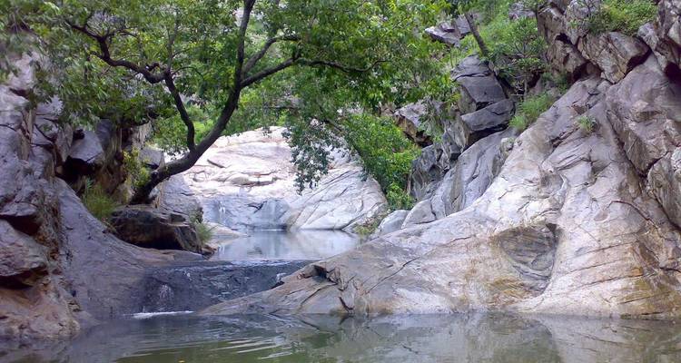 Delhi to Sariska National Park: A Thrilling Wildlife Excursion - Agora Voyages OPC Pvt Ltd 9