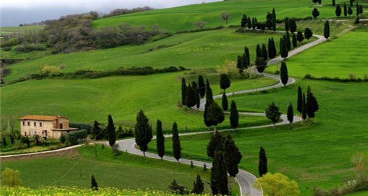 13 Days Tour of Karnataka, Kerala & Tamil Nadu [South India] - TTI TOURS 3
