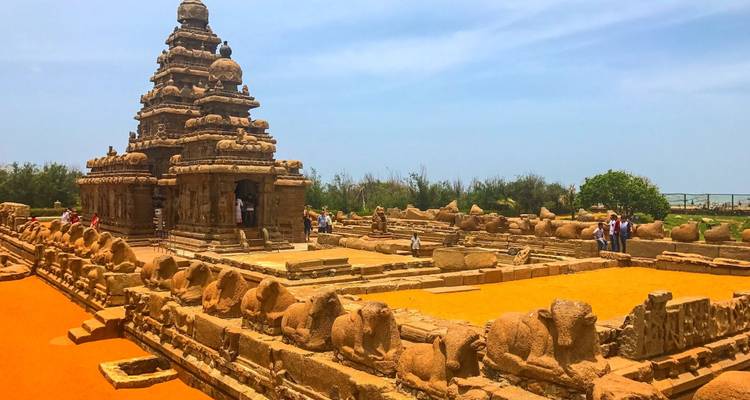 13 Days Tour of Karnataka, Kerala & Tamil Nadu [South India] - TTI TOURS 7