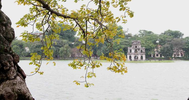 Tree branches overlooking a lake with a pagoda in the background.