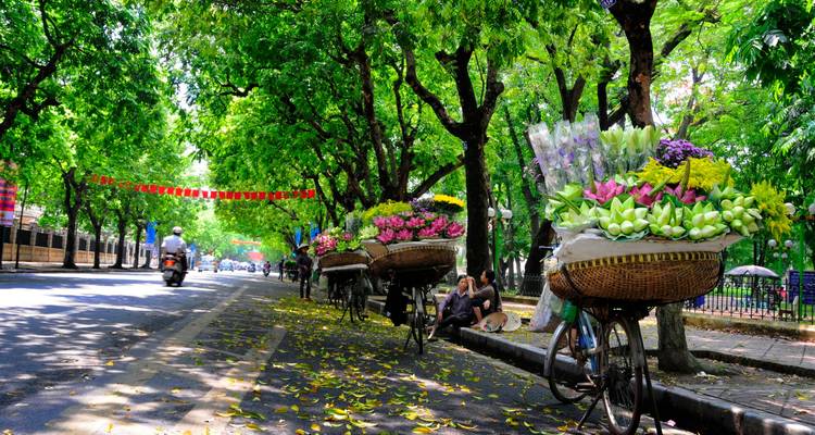 Street lined with flower-laden bicycles in front of green trees.