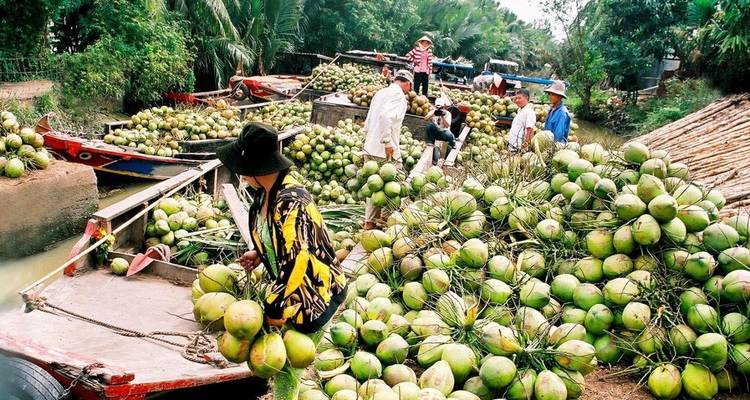 People selling coconuts on boats