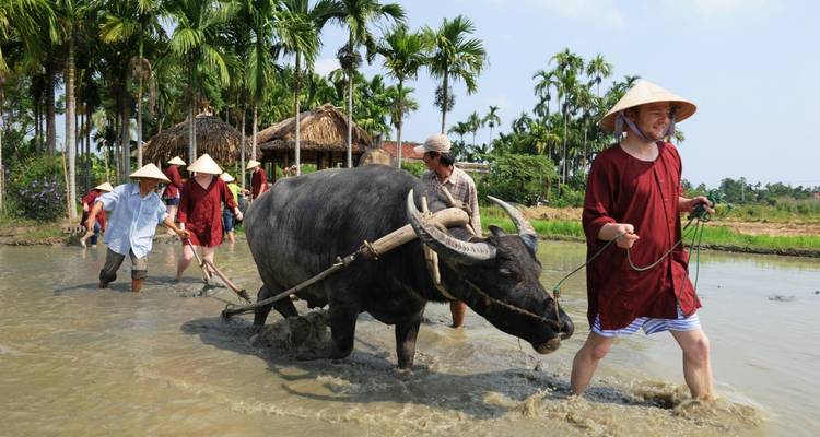 Tourists engaging in a traditional farming activity with a buffalo.