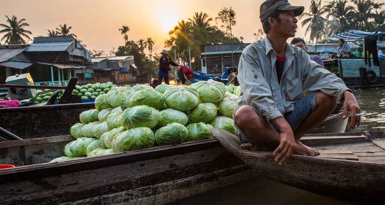 Man sitting on a boat full of cabbages at sunset.