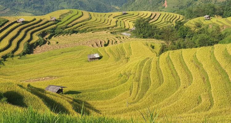 Le meilleur du nord du Vietnam - Swallow Travel 8