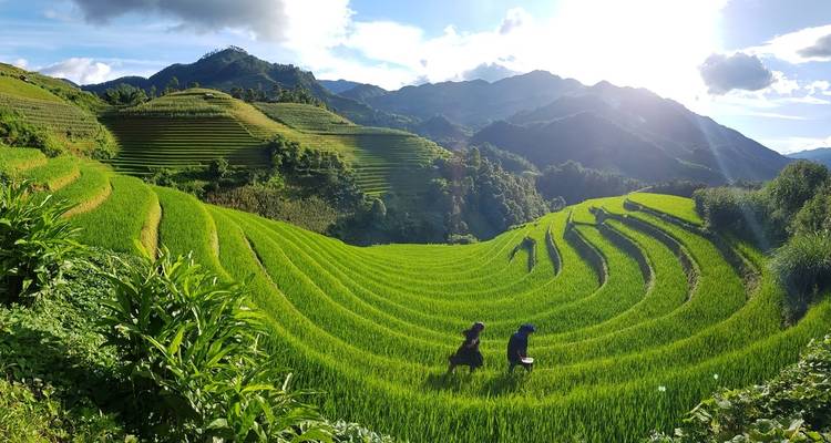 Le meilleur du nord du Vietnam - Swallow Travel 4