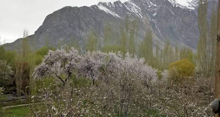 15 jours - Circuit au nord du Pakistan Chitral, Hunza Shimshal Naltar - Rock Valley Tours Pvt Ltd 6