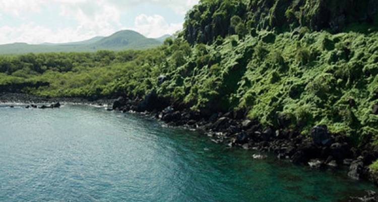 Circuito de 9 días a los 5 grandes de Galápagos - GUIDEcuador Travel 9