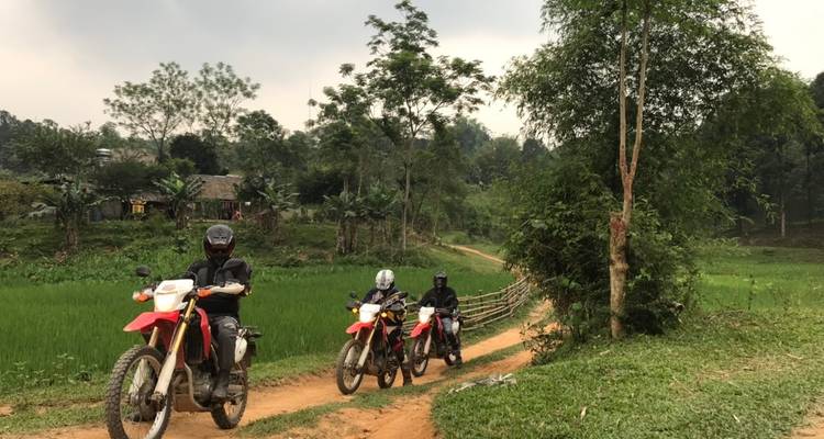 Three motorcyclists riding through a rural area with lush greenery.