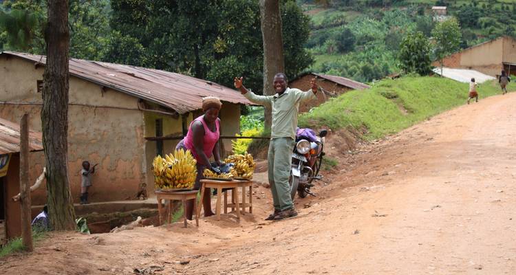 6 Day Gorillas, Golden Monkeys and Chimp Trek at Kibale Forest - Bamboo Ecotours 2