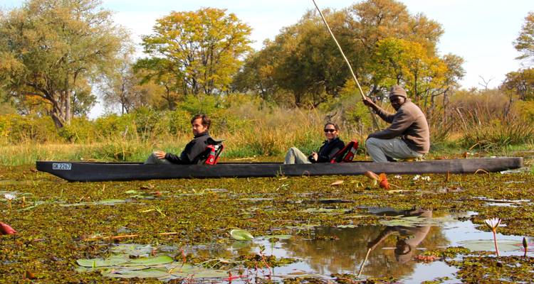 9 Days - Okavango  Delta Tour, Chobe National Park (Botswana) , Livingstone (Zambia) wildlife-focused safari - Lochinvar Safaris 8