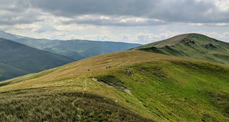 Des gens qui font de la randonnée sur des collines herbeuses avec des montagnes en arrière-plan.