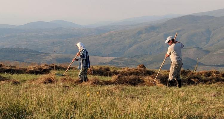 Deux personnes travaillant dans un champ avec des montagnes en arrière-plan.