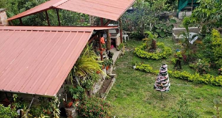 View of a garden with a red-roofed structure.