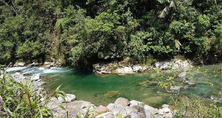 Clear river with rocky banks surrounded by lush forest.