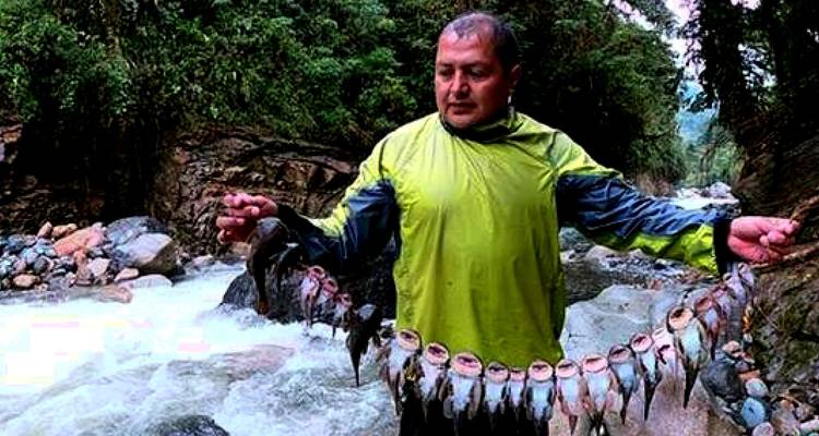 Man holding a stringer of fish in a river in a forest.