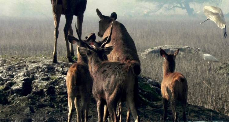 Delhi to Agra & Bharatpur Birdwatching Excursion - Agora Voyages OPC Pvt Ltd 10