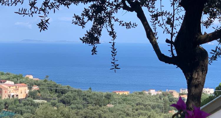 Viaje de 4 días al sur de Italia: una experiencia increíble en Sorrento y la costa amalfitana - Wherever Tours 1