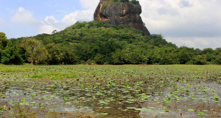 True Essence of Sri Lanka - 10 Days Tour - Serendib Roots 2