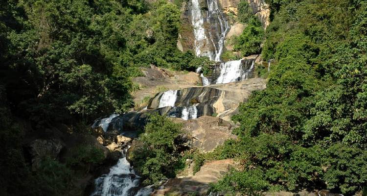 True Essence of Sri Lanka - 10 Days Tour - Serendib Roots 9