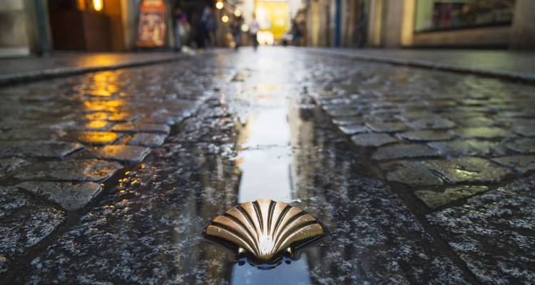 "Camino de Santiago" (Way of St James): French Way by bike from Leon - Uncommon Tours 1