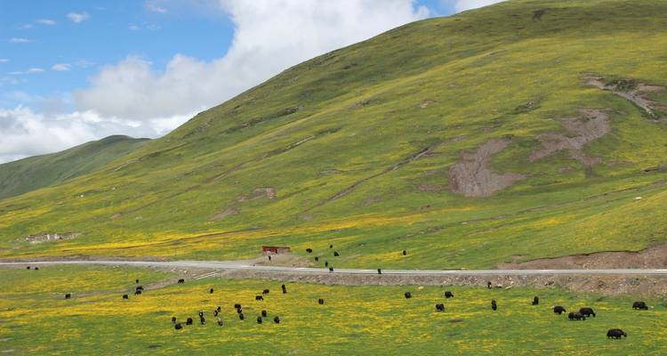 Circuit de 16 jours au Tibet oriental (sans permis de voyage au Tibet), province du Sichuan, Chine - Sichuan Adventure 4
