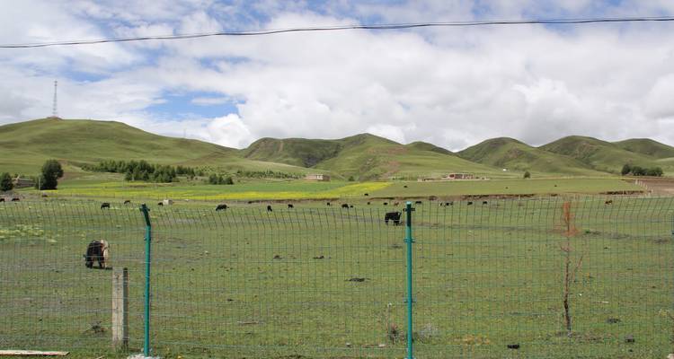 Circuit de 16 jours au Tibet oriental (sans permis de voyage au Tibet), province du Sichuan, Chine - Sichuan Adventure 8