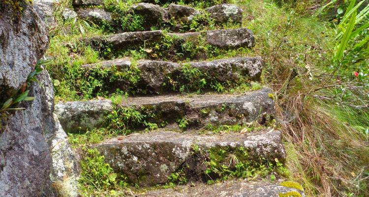 Chemin Inca court vers le Machu Picchu - Service de groupe - 2 jours - Inkayni Peru Tours 10