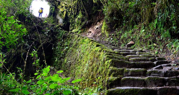 05 jours Chemin Inca vers Machu Picchu - Service privé - Inkayni Peru Tours 1