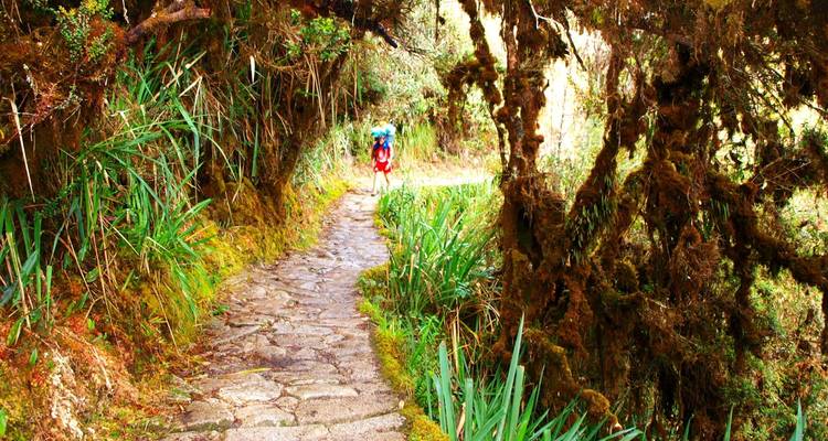 05 jours Chemin Inca vers Machu Picchu - Service privé - Inkayni Peru Tours 6