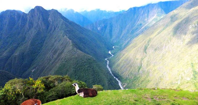 05 jours Chemin Inca vers Machu Picchu - Service privé - Inkayni Peru Tours 9