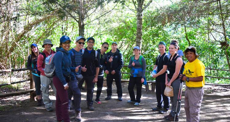 Groep avonturiers verzameld op een bospad, klaar voor meer verkenning.