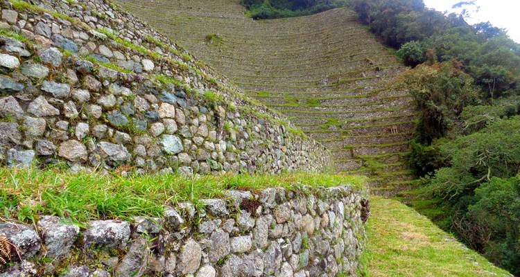 Stenen landbouwterrassen in trappen op een berghelling met dichte begroeiing.