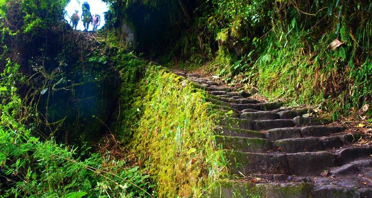 Trek du Salkantay et Chemin de l'Inca vers le Machu Picchu - Inkayni Peru Tours 8