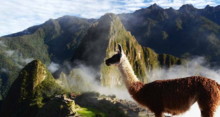 04 Day Salkantay Trek to Machu Picchu - Inkayni Peru Tours 8