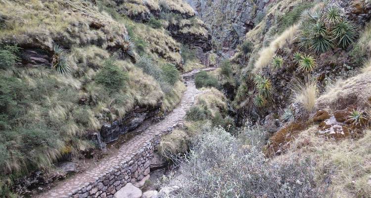 Caminata Huchuy Qosqo a Machu Picchu - Inkayni Peru Tours 7
